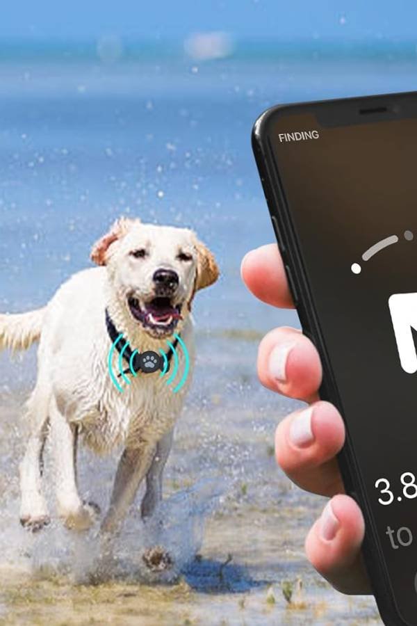 ¿Un Air Tag para Encontrarlo TODO? ¡Ni en tus sueños! Reseña Brutal 💥 34 IMAGEN - LaTachuelaTech - Air Tag - accesorios - Soporte impermeable para collar de mascotas compatible con Airtag - 07